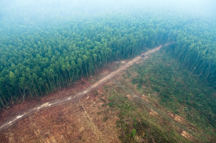 The haze blanketing much of Kalimantan and Sumatra has come to define Jokowi's environmental record in his first year. Photo by Aulia Erlangga for the Center for International Forestry Research.