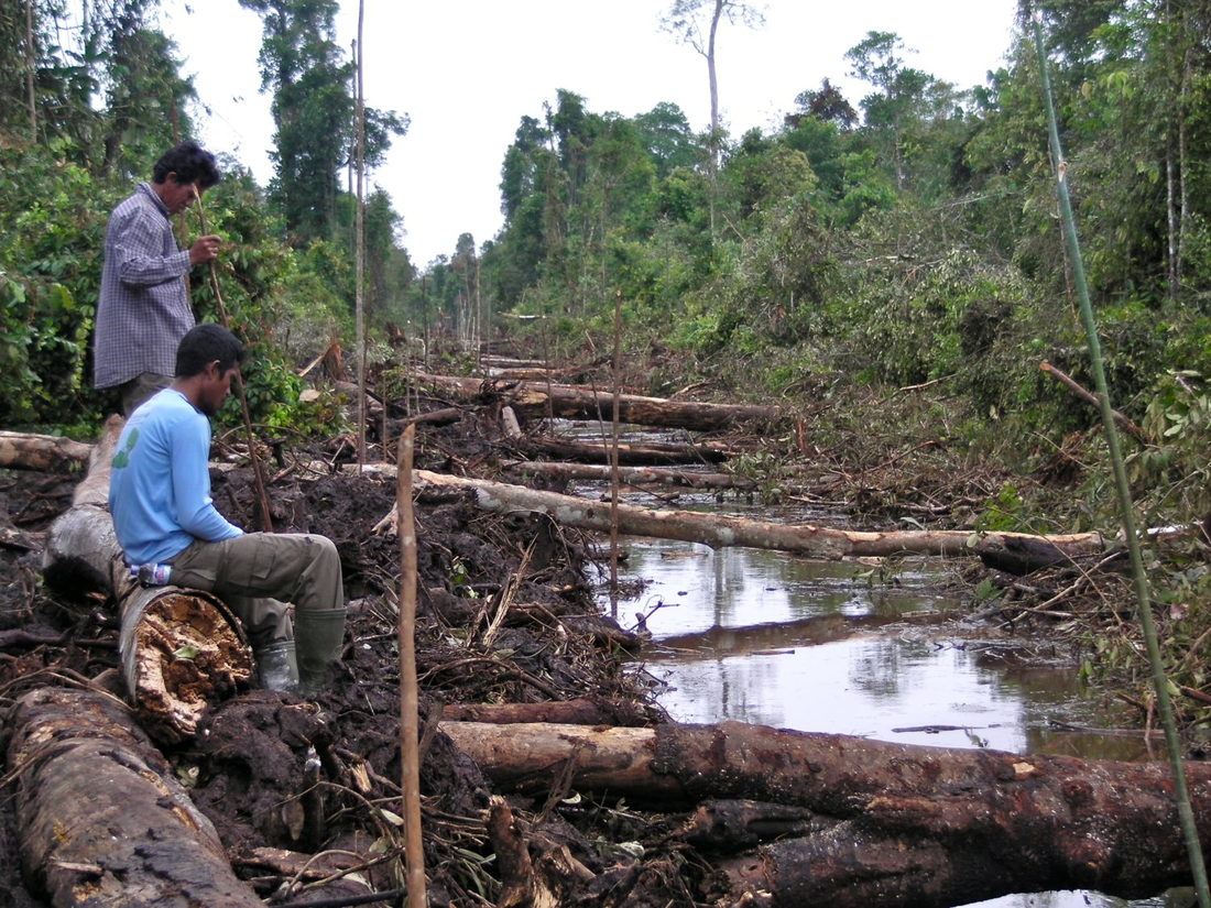 Communities in remote areas often lack knowledge of their land rights, and have little power or resources to challnege the interests of large companies. Photo by Rainforest Action Network on Flickr.